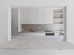 Rooftop ruft: "Terrasse 73m2, Balkon 15 m2, die top sanierte Wohnung 85,48 m² ", 560000 €, Immobilien-Wohnungen in 1230 Liesing