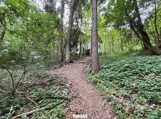 Waldgrundstück mit Altbestand in Amras, 0 €, Immobilien-Grund und Boden in 6020 Amras