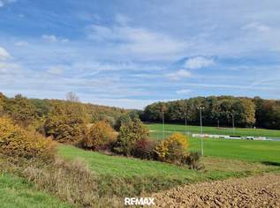 Sonniges Grundstück in Eltendorf Südburgenland – Ruhe und Natur genießen. Landwirtschaftliche Grünfläche, 14312 €, Immobilien-Grund und Boden in 7562 Eltendorf