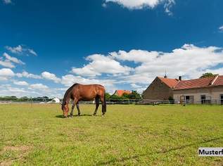 Historischer Reiterhof mit Gästezimmern und Ferienapartments, 3604500 €, Immobilien-Gewerbeobjekte in 5350 Aigen