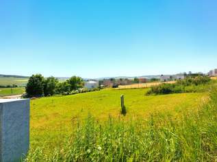 Sonniges Baugrundstück ohne Bauzwang in leicht erhöhter Lage in Breitenwaida!, 155000 €, Immobilien-Grund und Boden in 2014 Breitenwaida