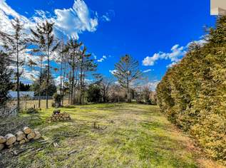 Großzügiges Mehrfamiliengrundstück – Raum für Ihre Zukunft!, 499000 €, Immobilien-Grund und Boden in 2322 Gemeinde Zwölfaxing