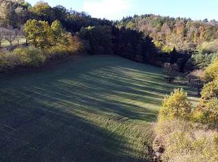 Großes an Bauland grenzendes Grünland-Grundstück bei Emmersdorf!, 117705 €, Immobilien-Grund und Boden in 3644 Gossam