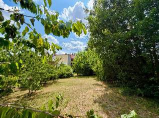 Baugrundstück mit Altbestand in Ruhelage von Perchtoldsdorf, 660000 €, Immobilien-Grund und Boden in 2380 Gemeinde Perchtoldsdorf