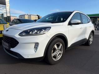 Kuga Cool & Connect, 19790 €, Auto & Fahrrad-Autos in 4240 Freistadt