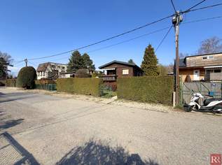 Charmantes Sommerhaus im Strombad Kritzendorf, 140000 €, Immobilien-Häuser in 3400 Gemeinde Klosterneuburg