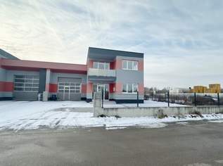 Halle & Büro in Bestzustand – ideale Gewerbeimmobilie, 2750 €, Immobilien-Gewerbeobjekte in 2525 Günselsdorf Halle & Büro in Bestzustand – ideale Gewerbeimmobilie, 2750 €, Immobilien-Gewerbeobjekte in 2525 Günselsdorf