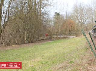 attraktives Baugrundstück in der Gemeinde Thalheim bei Wels, 695000 €, Immobilien-Grund und Boden in 4600 Wels