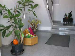 Büro mit Terrasse und Stellplatz ALL IN MIETE Büro mit Terrasse und Stellplatz ALL IN MIETE