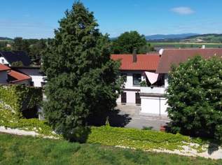 Unglaublich tolle Single- oder Pärchenwohnung in Ruprechtshofen zu mieten!, 0 €, Immobilien-Wohnungen in 3244 Ruprechtshofen Unglaublich tolle Single- oder Pärchenwohnung in Ruprechtshofen zu mieten!, 0 €, Immobilien-Wohnungen in 3244 Ruprechtshofen