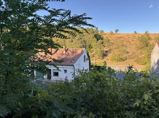 Großes Grundstück in Waldrandlage mit Altbestand zum Sanieren, 269000 €, Immobilien-Häuser in 7082 Gemeinde Donnerskirchen Großes Grundstück in Waldrandlage mit Altbestand zum Sanieren, 269000 €, Immobilien-Häuser in 7082 Gemeinde Donnerskirchen