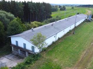 Teilbarer Gewerbehof mit Erweiterungspotenzial auf großem Baulandgrundstück (Provisionsfrei), 480000 €, Immobilien-Gewerbeobjekte in 7552 Stinatz