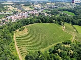 IHR CHALET-PROJEKT – Einzigartiges Grundstück an der Südsteirischen Weinstraße! Genießen Sie einen Panoramaausblick im schönsten Teil der Steiermark!, 1400000 €, Immobilien-Grund und Boden in 8462 Eckberg IHR CHALET-PROJEKT – Einzigartiges Grundstück an der Südsteirischen Weinstraße! Genießen Sie einen Panoramaausblick im schönsten Teil der Steiermark!, 1400000 €, Immobilien-Grund und Boden in 8462 Eckberg