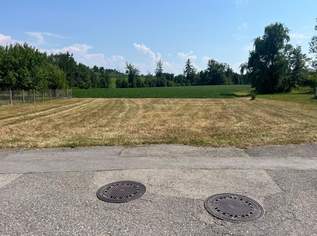 Großzügiges Baugrundstück in attraktiver Lage!, 429000 €, Immobilien-Grund und Boden in 4055 Pucking Großzügiges Baugrundstück in attraktiver Lage!, 429000 €, Immobilien-Grund und Boden in 4055 Pucking