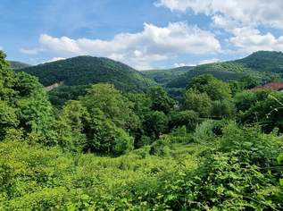 Rarität in Toplage – Baugrundstück mit Fernblick in Kaltenleutgeben, 399000 €, Immobilien-Grund und Boden in 2391 Gemeinde Kaltenleutgeben