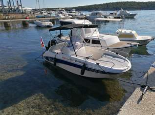 Remus 450 Einsteigerboot, 19000 €, Auto & Fahrrad-Boote in 8442 Kitzeck im Sausal
