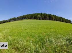 Agrar- und Forstflächen mit naturschutzrechtlichen Einschränkungen, 73800 €, Immobilien-Grund und Boden in 6700 Stadt Bludenz Agrar- und Forstflächen mit naturschutzrechtlichen Einschränkungen, 73800 €, Immobilien-Grund und Boden in 6700 Stadt Bludenz
