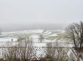 ACKERFLÄCHE & WIESE Teil 1, 53000 €, Immobilien-Grund und Boden in 3233 Kilb ACKERFLÄCHE & WIESE Teil 1, 53000 €, Immobilien-Grund und Boden in 3233 Kilb