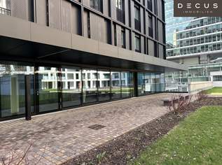 | DC FLATS | Erstbezug | Erdgeschoss-Büro, 2972 €, Immobilien-Gewerbeobjekte in 1220 Donaustadt