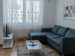 Moderne Stadtwohnung! Top Lage nähe Hauptbahnhof!, 1150 €, Immobilien-Wohnungen in 1100 Favoriten