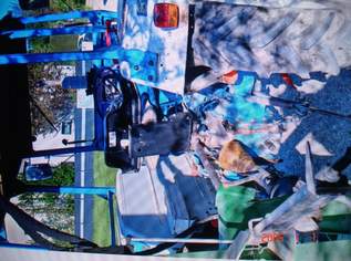 Ford 2600, 5500 €, Auto & Fahrrad-Traktoren & Nutzfahrzeuge in 2301 Gemeinde Groß-Enzersdorf