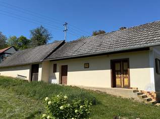 Das Herz des Weins – Ihr Weinkeller in der Pinkataler Idylle, 84000 €, Immobilien-Häuser in 7540 Moschendorf