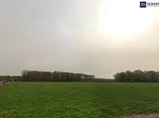 Riesen Potenzial - ca. 1h großes GEWERBEGRUNDSTÜCK 0,3 - 2,0 Dichte mit direkter Nähe zur Autobahn und zur Eisenbahn! Alternativen in der Umgebung auch verfügbar!, 1099000 €, Immobilien-Grund und Boden in 8430 Leibnitz