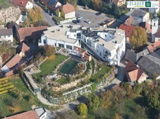 Exklusives Penthouse mit Eigengarten und Schwimmteich!, 3206.2 €, Immobilien-Wohnungen in 3133 Traismauer Exklusives Penthouse mit Eigengarten und Schwimmteich!, 3206.2 €, Immobilien-Wohnungen in 3133 Traismauer