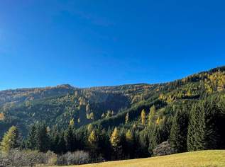 Forst und Jagdgebiet im Bezirk Wolfsberg, 3.5 €, Immobilien-Gewerbeobjekte in 9400 Wolfsberg