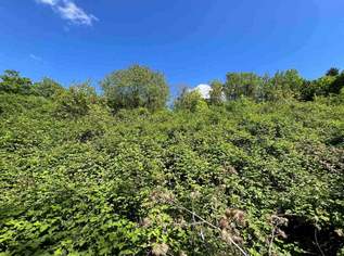 Baubewilligte Liegenschaft in absoluter Grün Ruhelage in Kierling, 750000 €, Immobilien-Grund und Boden in 3400 Kierling