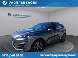 Kuga ST Line X 2,5 PHEV Autom., 23990 €, Auto & Fahrrad-Autos in 8041 Liebenau Kuga ST Line X 2,5 PHEV Autom., 23990 €, Auto & Fahrrad-Autos in 8041 Liebenau