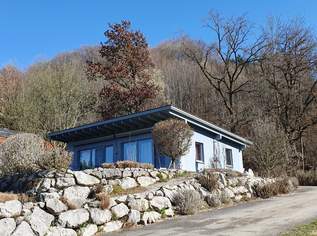 Aufwachen im Bungalow mit Blick ins Europanaturschutzgebiet "Oichtenriede", 420000 €, Immobilien-Häuser in 5166 Perwang am Grabensee