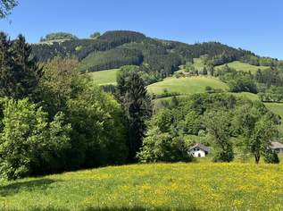 Green green grass of home - sonnige, einzigartige Lage im Grünen - einfach ein Grünoase!, 249000 €, Immobilien-Häuser in 3264 Gemeinde Gresten