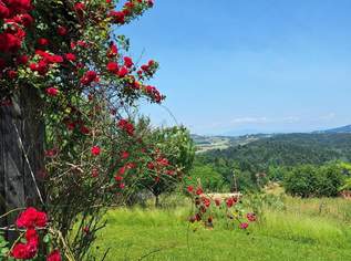 *Leben in den Weinbergen mit atemberaubender Fernsicht*, 349000 €, Immobilien-Häuser in 8441 Brudersegg