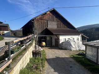 Landwirtschaft in herrlicher Aussichtslage!, 0 €, Immobilien-Grund und Boden in 8184 Anger
