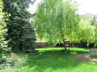 GST mit Altbestand (bewohnbar), 535000 €, Immobilien-Grund und Boden in 1220 Donaustadt GST mit Altbestand (bewohnbar), 535000 €, Immobilien-Grund und Boden in 1220 Donaustadt