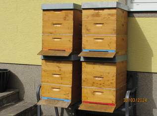 4 Bienenstöcke - Flachzargen Dadant Blatt