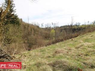 sonniges Grünland eingebetet neben Bach und Wald, kein Bauland, 59000 €, Immobilien-Grund und Boden in 4232 Hagenberg im Mühlkreis
