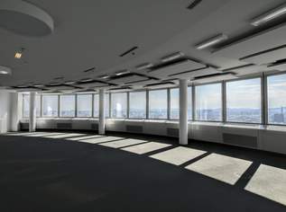 Arbeiten mit Aussicht im Millenniumtower, 10406 €, Immobilien-Gewerbeobjekte in 1200 Brigittenau