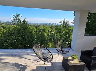 Einzigartiges Penthouse in Steinhaus bei Wels (Provisionsfrei), 599000 €, Immobilien-Wohnungen in 4641 Steinhaus