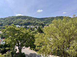 Wunderschöne Liegenschaft in Zentrumsnähe, 1990000 €, Immobilien-Grund und Boden in 3400 Gemeinde Klosterneuburg Wunderschöne Liegenschaft in Zentrumsnähe, 1990000 €, Immobilien-Grund und Boden in 3400 Gemeinde Klosterneuburg