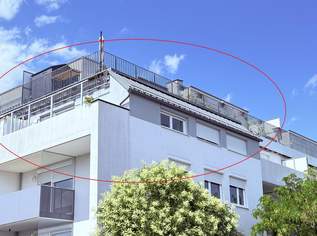 Top-moderne Neubauwohnung mit 14m² MEGA-SÜD-Balkon nahe Akademiepark, 1198 €, Immobilien-Wohnungen in Niederösterreich Top-moderne Neubauwohnung mit 14m² MEGA-SÜD-Balkon nahe Akademiepark, 1198 €, Immobilien-Wohnungen in Niederösterreich