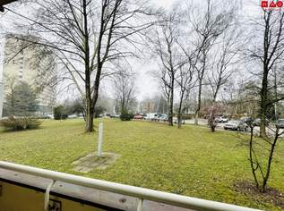 Neu renovierte, großzügig geschnittene 2-Zimmer Wohnung mit Loggia in ruhe Lage am beliebten Spallerhof!, 723.29 €, Immobilien-Wohnungen in Oberösterreich