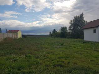 RARITÄT: BAUGRUNDSTÜCK IN ABSDORF OHNE BAUZWANG IN UNVERBAUBARER AUSSICHTSLAGE, 347000 €, Immobilien-Grund und Boden in 3462 Absdorf RARITÄT: BAUGRUNDSTÜCK IN ABSDORF OHNE BAUZWANG IN UNVERBAUBARER AUSSICHTSLAGE, 347000 €, Immobilien-Grund und Boden in 3462 Absdorf