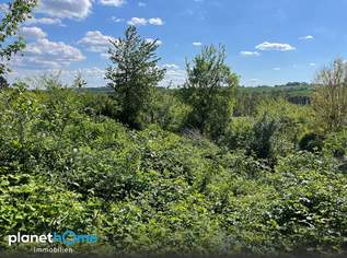 Baugrund in Aussichtslage!, 40000 €, Immobilien-Grund und Boden in 7461 Altschlaining