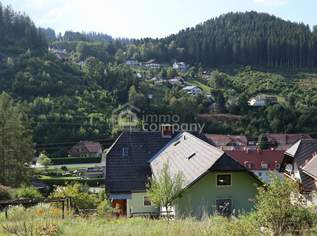 Großzügiges Einfamilienhaus in Sankt Jakob im Walde – 200 m² | 8 Zimmer | € 170.000.--, 170000 €, Immobilien-Häuser in 8673 Grubbauer Großzügiges Einfamilienhaus in Sankt Jakob im Walde – 200 m² | 8 Zimmer | € 170.000.--, 170000 €, Immobilien-Häuser in 8673 Grubbauer
