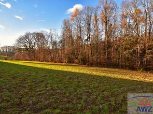 Baugrundstück mit landwirtschaflicher Nutzfläche!, 0 €, Immobilien-Grund und Boden in Steiermark