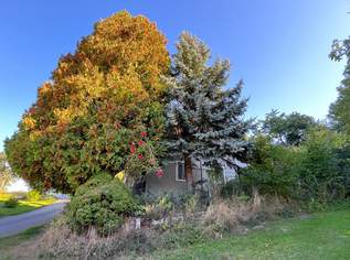 Natur pur! Grundstück mit Abrissobjekt!, 197000 €, Immobilien-Grund und Boden in 4692 Niederthalheim Natur pur! Grundstück mit Abrissobjekt!, 197000 €, Immobilien-Grund und Boden in 4692 Niederthalheim