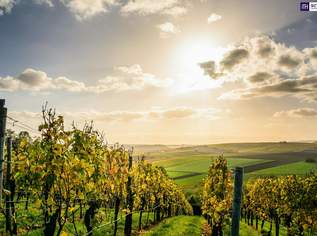 Exklusiv! Besondere Anwesen in der wunderschönen Südsteiermark – Ihr Rückzugsort mit Charme, Komfort und einen unvergleichbarem Flair!, 0 €, Immobilien-Häuser in 8462 Gamlitz