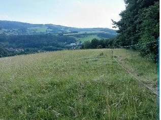 Traumhaftes Grundstück nahe Neulengbach/Altlengbach, 450000 €, Immobilien-Grund und Boden in 3051 St. Christophen